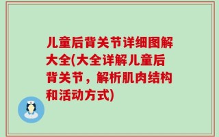 儿童后背关节详细图解大全(大全详解儿童后背关节，解析肌肉结构和活动方式)