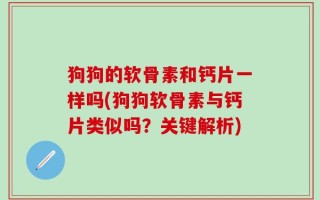 狗狗的软骨素和钙片一样吗(狗狗软骨素与钙片类似吗？关键解析)