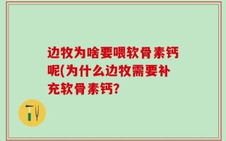 边牧为啥要喂软骨素钙呢(为什么边牧需要补充软骨素钙？