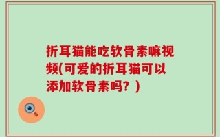 折耳猫能吃软骨素嘛视频(可爱的折耳猫可以添加软骨素吗？)