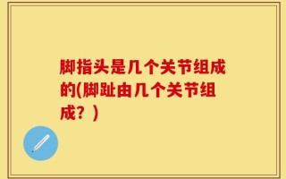 脚指头是几个关节组成的(脚趾由几个关节组成？)