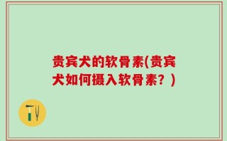 贵宾犬的软骨素(贵宾犬如何摄入软骨素？)