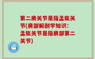 第二肩关节是指孟肱关节(肩部解剖学知识：孟肱关节是指肩部第二关节)