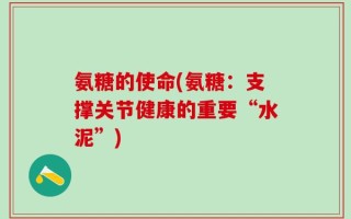 氨糖的使命(氨糖：支撑关节健康的重要“水泥”)
