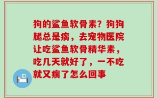 狗的鲨鱼软骨素？狗狗腿总是瘸，去宠物医院让吃鲨鱼软骨精华素，吃几天就好了，一不吃就又瘸了怎么回事