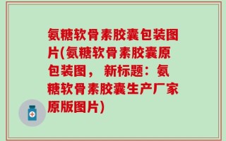 氨糖软骨素胶囊包装图片(氨糖软骨素胶囊原包装图， 新标题：氨糖软骨素胶囊生产厂家原版图片)