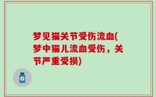 梦见猫关节受伤流血(梦中猫儿流血受伤，关节严重受损)