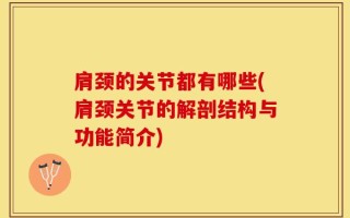 肩颈的关节都有哪些(肩颈关节的解剖结构与功能简介)
