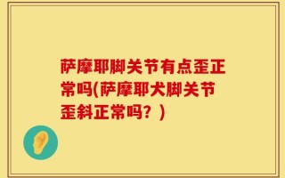 萨摩耶脚关节有点歪正常吗(萨摩耶犬脚关节歪斜正常吗？)