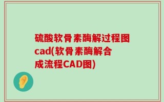 硫酸软骨素酶解过程图cad(软骨素酶解合成流程CAD图)