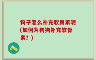 狗子怎么补充软骨素呢(如何为狗狗补充软骨素？)