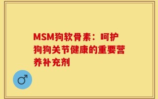 MSM狗软骨素：呵护狗狗关节健康的重要营养补充剂