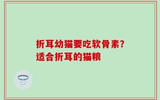 折耳幼猫要吃软骨素？适合折耳的猫粮