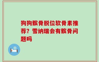 狗狗髌骨脱位软骨素推荐？雪纳瑞会有髌骨问题吗