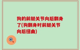 狗的前腿关节向后翻身了(狗翻身时前腿关节向后扭曲)