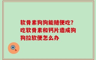 软骨素狗狗能随便吃？吃软骨素和钙片造成狗狗拉软便怎么办