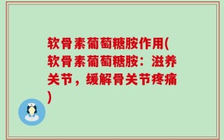 软骨素葡萄糖胺作用(软骨素葡萄糖胺：滋养关节，缓解骨关节疼痛)