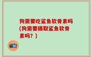 狗需要吃鲨鱼软骨素吗(狗需要摄取鲨鱼软骨素吗？)