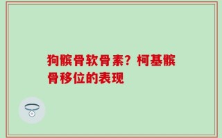 狗髌骨软骨素？柯基髌骨移位的表现