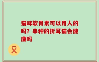 猫咪软骨素可以用人的吗？串种的折耳猫会健康吗