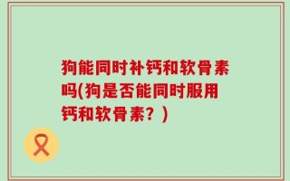 狗能同时补钙和软骨素吗(狗是否能同时服用钙和软骨素？)
