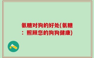 氨糖对狗的好处(氨糖：照顾您的狗狗健康)