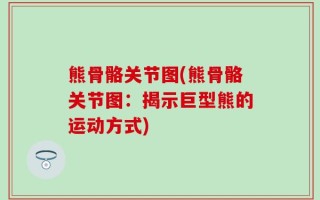 熊骨骼关节图(熊骨骼关节图：揭示巨型熊的运动方式)
