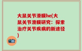 大鼠关节滑膜he(大鼠关节滑膜研究：探索治疗关节疾病的新途径)