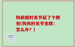 狗前腿肘关节起了个脓包(狗狗肘关节生脓：怎么办？)