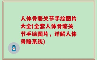 人体骨骼关节手绘图片大全(全套人体骨骼关节手绘图片，详解人体骨骼系统)