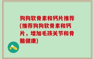 狗狗软骨素和钙片推荐(推荐狗狗软骨素和钙片，增加毛孩关节和骨骼健康)