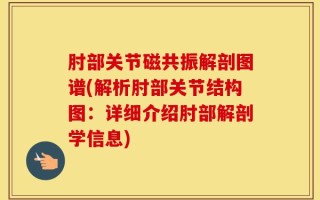 肘部关节磁共振解剖图谱(解析肘部关节结构图：详细介绍肘部解剖学信息)