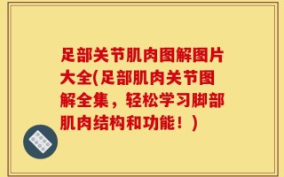 足部关节肌肉图解图片大全(足部肌肉关节图解全集，轻松学习脚部肌肉结构和功能！)