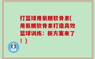 打篮球用氨糖软骨素(用氨糖软骨素打造高效篮球训练：新方案来了！)