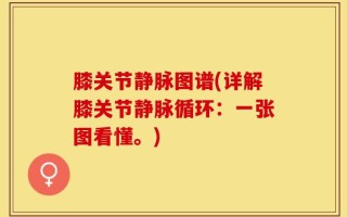 膝关节静脉图谱(详解膝关节静脉循环：一张图看懂。)