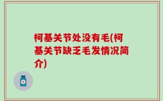 柯基关节处没有毛(柯基关节缺乏毛发情况简介)