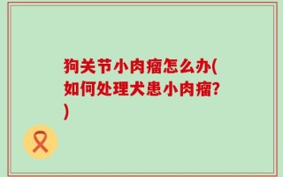 狗关节小肉瘤怎么办(如何处理犬患小肉瘤？)