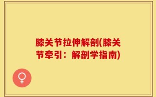 膝关节拉伸解剖(膝关节牵引：解剖学指南)
