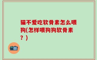 猫不爱吃软骨素怎么喂狗(怎样喂狗狗软骨素？)