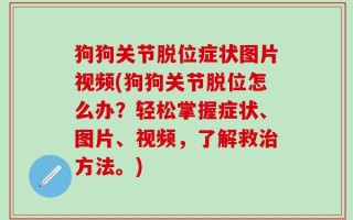 狗狗关节脱位症状图片视频(狗狗关节脱位怎么办？轻松掌握症状、图片、视频，了解救治方法。)