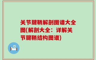 关节腱鞘解剖图谱大全图(解剖大全：详解关节腱鞘结构图谱)
