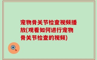 宠物骨关节检查视频播放(观看如何进行宠物骨关节检查的视频)
