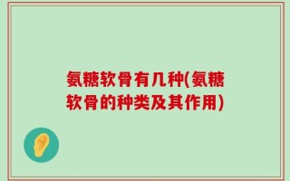 氨糖软骨有几种(氨糖软骨的种类及其作用)