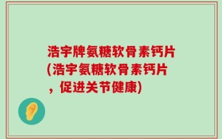 浩宇牌氨糖软骨素钙片(浩宇氨糖软骨素钙片，促进关节健康)