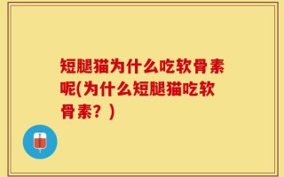 短腿猫为什么吃软骨素呢(为什么短腿猫吃软骨素？)