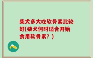 柴犬多大吃软骨素比较好(柴犬何时适合开始食用软骨素？)