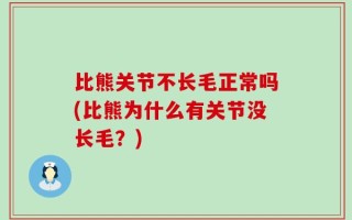 比熊关节不长毛正常吗(比熊为什么有关节没长毛？)