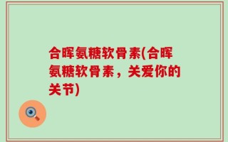 合晖氨糖软骨素(合晖氨糖软骨素，关爱你的关节)