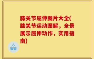 膝关节屈伸图片大全(膝关节运动图解，全景展示屈伸动作，实用指南)