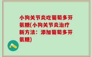 小狗关节炎吃葡萄多芬氨糖(小狗关节炎治疗新方法：添加葡萄多芬氨糖)